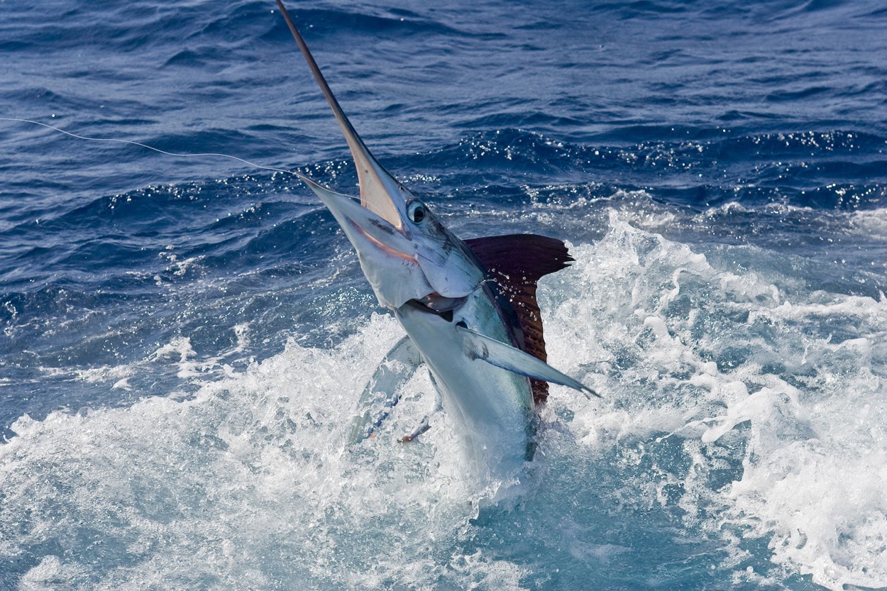 Outriggers For Small Boats